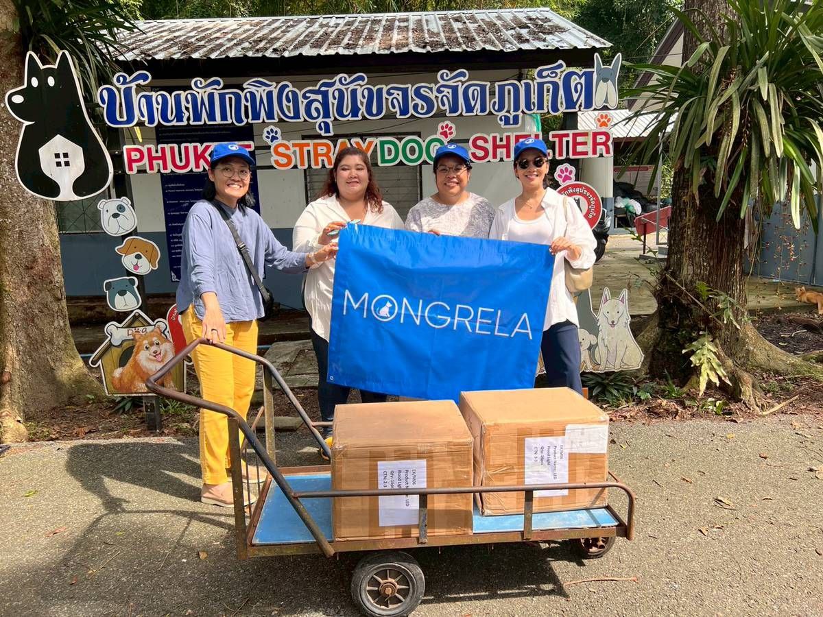 Lighting the Way : Mongrela’s First Shelter Action in Phuket